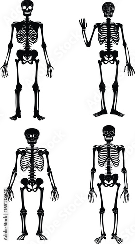 Set of Skeleton Silhouettes Standing in Various Poses for Halloween Horror Design Background,generative ai	