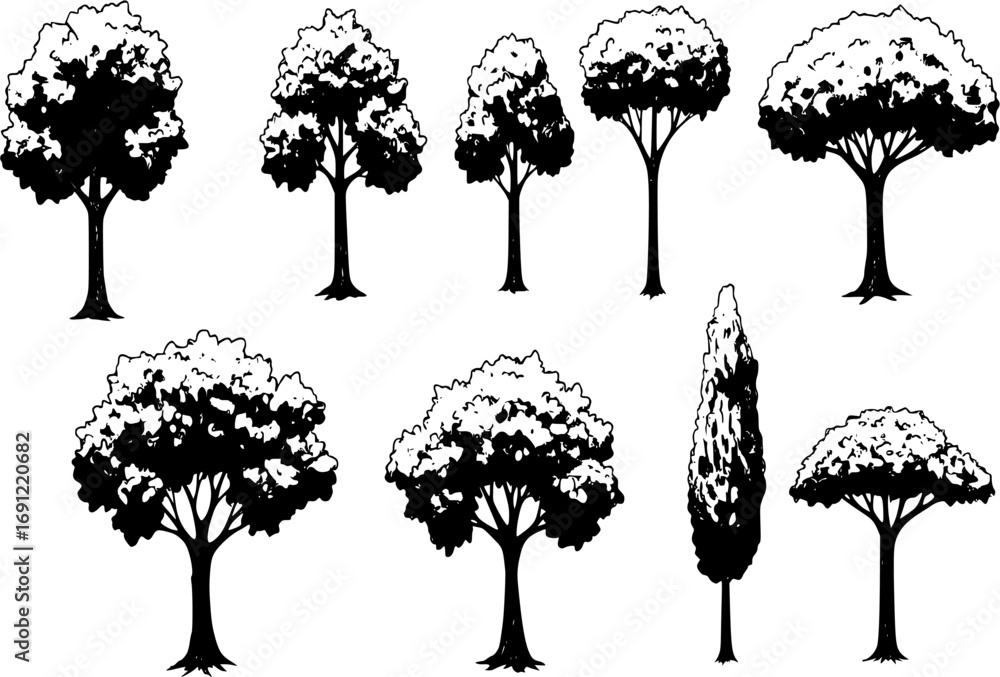 Set Trees. Hand drawn vector illustration
