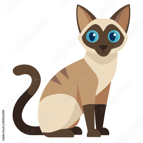 cute cat with white background