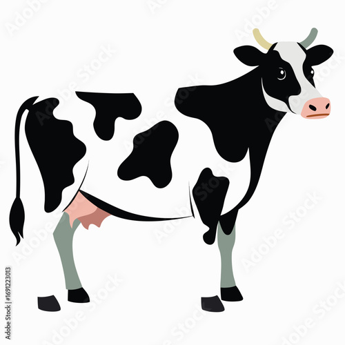 cow on white