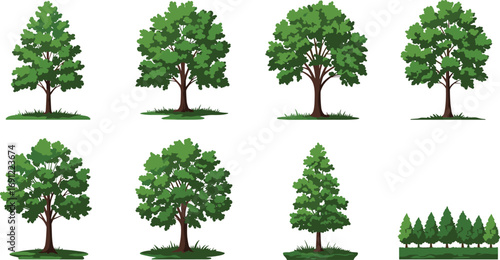 Collection of green trees, summer foliage, garden plants, park landscape, natural environment, forest vegetation, botanical illustration, outdoor greenery