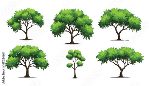 Green tree illustration set, natural forest plants, hand drawn foliage artwork, detailed botanical design, isolated nature elements collection