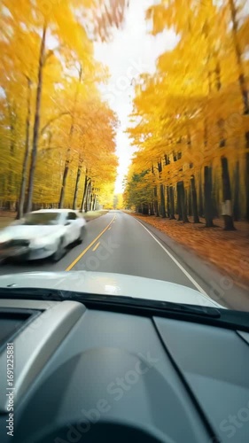 Wallpaper Mural Dynamic perspective from a car dashboard as it speeds through a vibrant forest road surrounded by golden autumn foliage. Blurred motion suggests fast movement. Torontodigital.ca