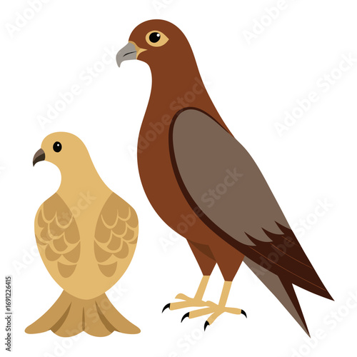 vector illustration of a bird
