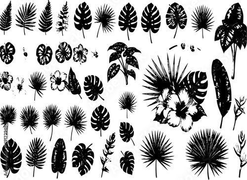 Tropical plants, leaves and palms big set. Exotic illustrations, floral elements isolated, Hawaiian bouquet for greeting card.
