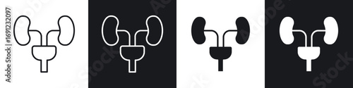 Urology icons in solid and stroke graphics