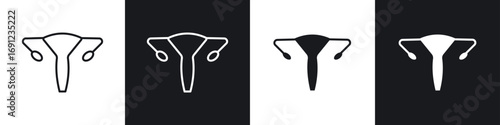 Uterus icons in solid and stroke graphics