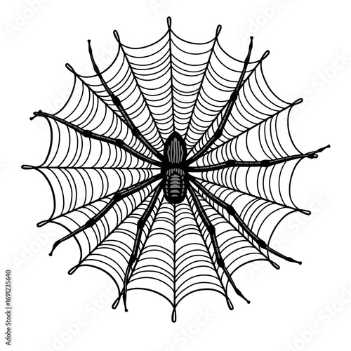 Black and white Halloween spider on detailed spiderweb in vintage style