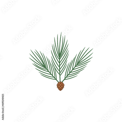 Stylized Pine Branch with Cone Illustration
