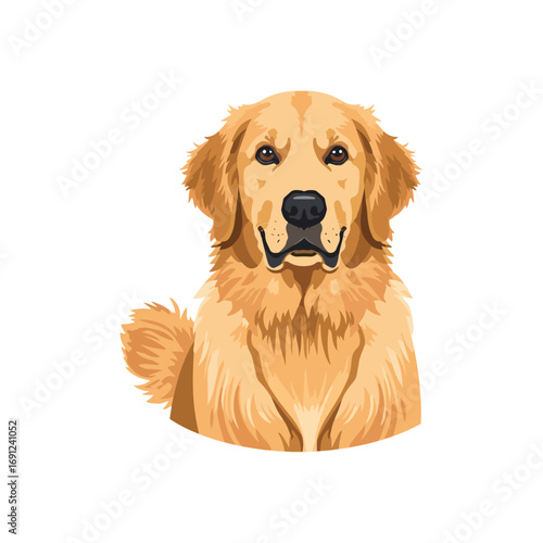 Golden  retriever dog vector