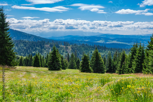 Fototapeta Naklejka Na Ścianę i Meble -  Beskid Żywiecki