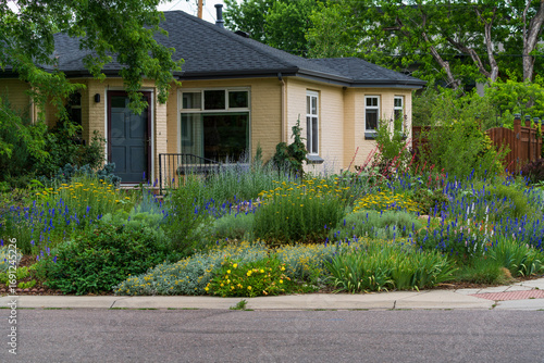 Street view of a nicely landscaped Xeriscape garden with various drought tolerant plants and flowers including Golden Yarrow, Larkspur, Red Yucca, Partridge Feather, Orange Carpet and more.