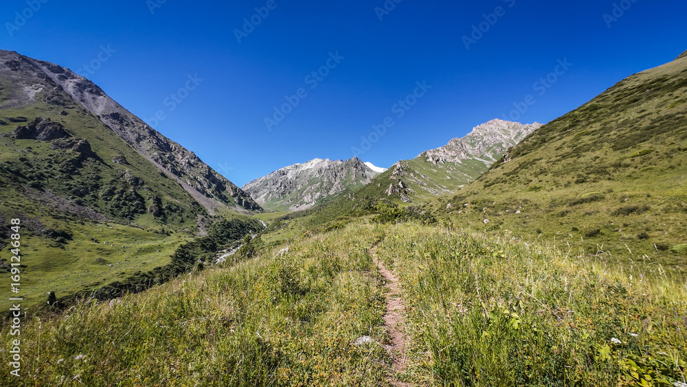 Obraz premium Mountain panorama in Ala Archa National Park in Kyrgyzstan