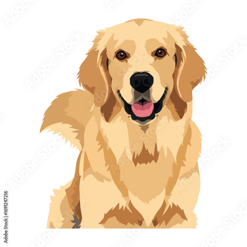 Golden retriever dog vector with
