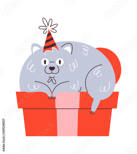 Fatty birthday dog inside gift