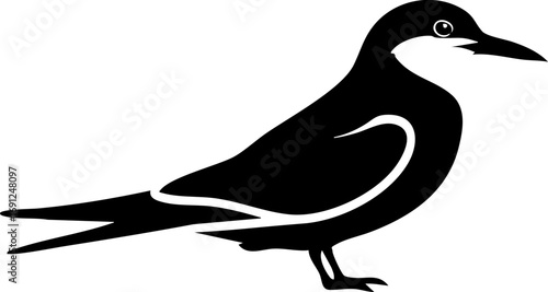 Elegant silhouette of a Tern bird in striking black, a vector design for logos and wildlife projects