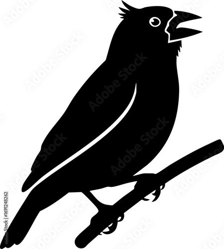 Elegant silhouette of a songbird perched on a branch serenading nature's symphony