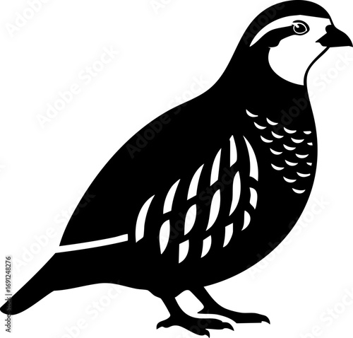 Elegant partridge silhouette, classic wildlife illustration, perfect for natural design and branding projects