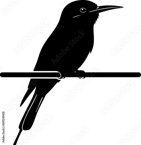Elegant silhouette of a bee-eater bird perched on a branch, nature illustration from vector graphic