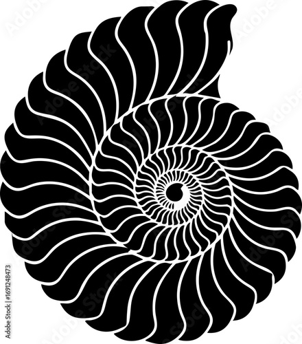 Elegant nautilus shell illustration for natural beauty, perfect geometry and graceful design projects