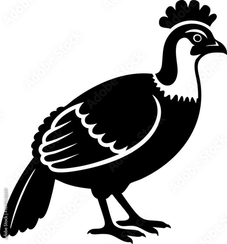 Elegant pheasant silhouette with distinctive crest showcasing natural beauty and wild grace