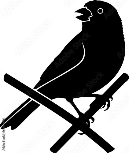 Chirping bird perched on a simple perch silhouetted against a clean backdrop