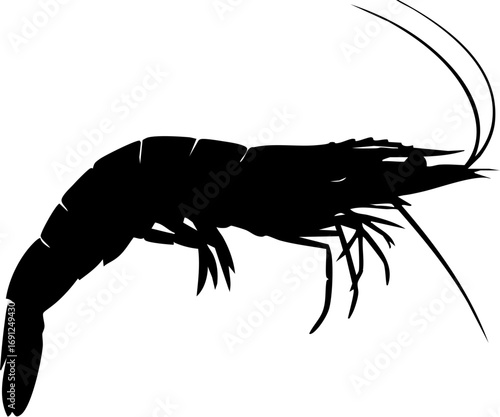Elegant black silhouette of a shrimp captures the essence of seafood and aquatic life