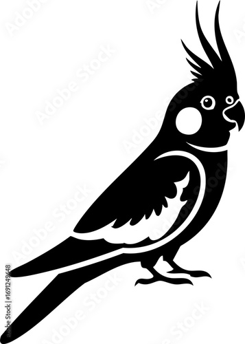 Elegant cockatiel silhouette perched gracefully, ready for your creative projects
