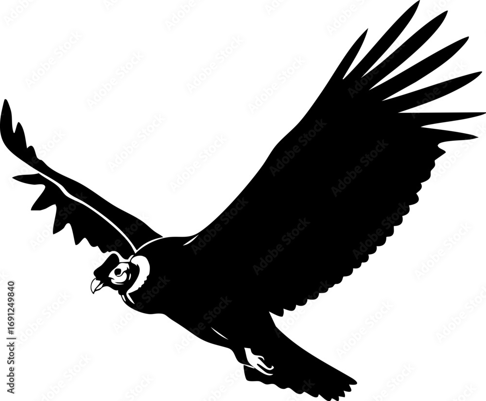 Fototapeta premium Majestic Andean condor soars with powerful wings spread wide in a dynamic flight pose