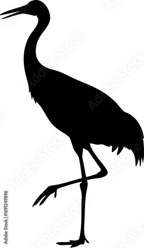 Elegant silhouette of a sandhill crane gracefully standing on one leg in profile view