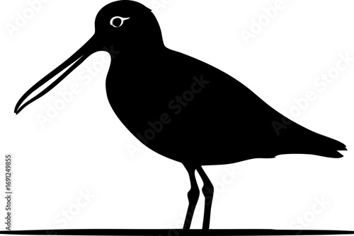 Elegant silhouette of a shorebird with a long beak, perfect for nature and wildlife designs.