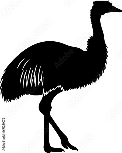 Majestic Cassowary silhouette, a striking depiction of this unique flightless bird in monochrome