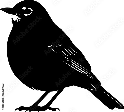 Charming black silhouette of a small bird perched elegantly, ready to inspire your designs.