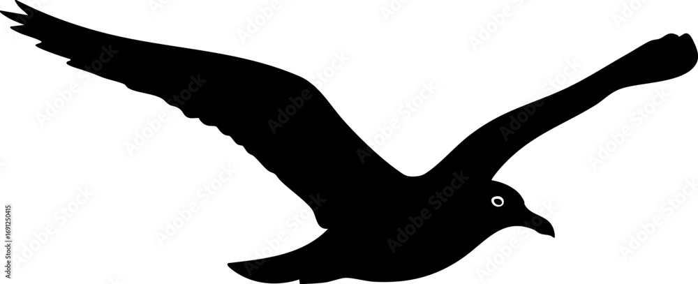 Obraz premium Graceful seagull soaring freely with wings outstretched in dynamic flight across the sky