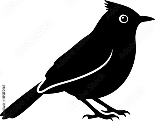 Charming silhouette of a crested bird perched gracefully, symbolizing nature's beauty and freedom.
