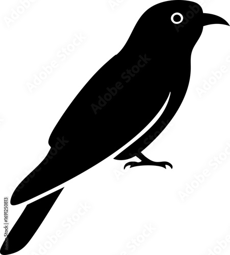 Elegant black bird silhouette perched gracefully, symbolizing nature's beauty and freedom.
