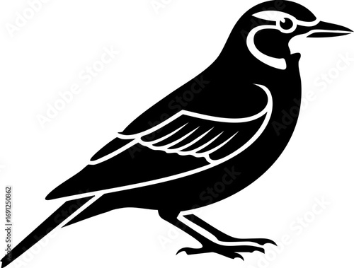 Elegant black bird silhouette poised for flight, symbolizing freedom and nature's beauty.