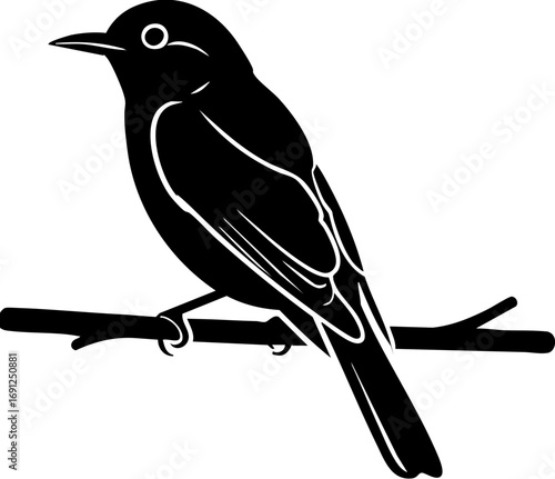 Elegant silhouette of a songbird perched on a delicate branch, evoking nature's simple beauty.