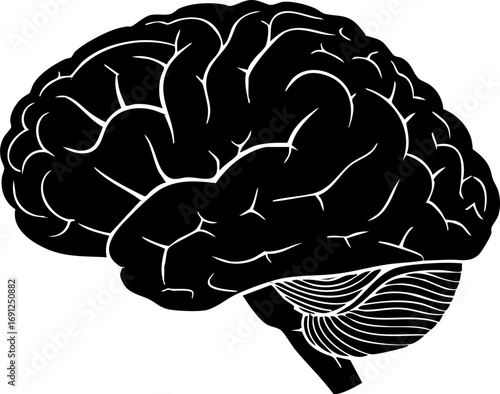 Striking black silhouette of a human brain, symbolizing intelligence and thought for medical and science concepts.