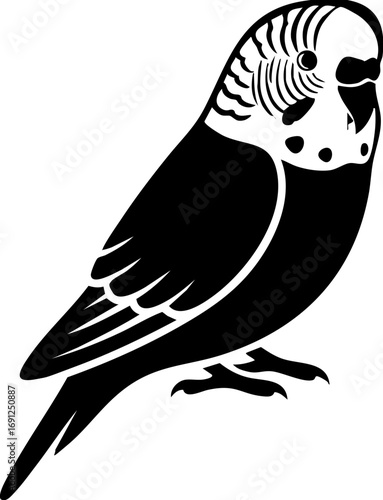 Charming budgie perched elegantly, a delightful avian subject for your creative projects.