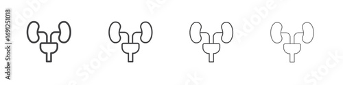 Urology icon simple vector line art symbol