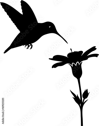 Graceful hummingbird sips nectar from a vibrant flower, capturing nature's delicate dance in silhouette