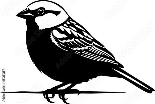 Charming small bird perched elegantly, a timeless symbol of nature's delicate beauty and freedom.