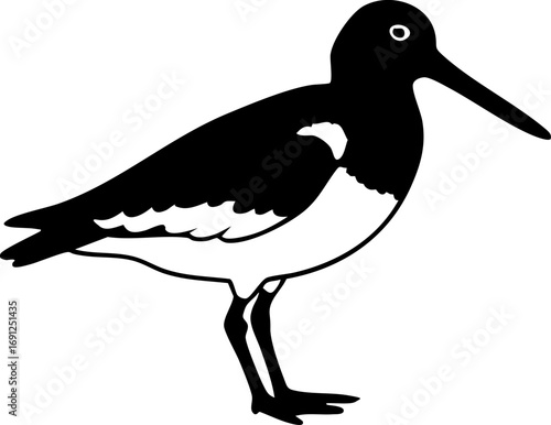 Elegant black and white shorebird silhouette, perfect for nature and wildlife designs