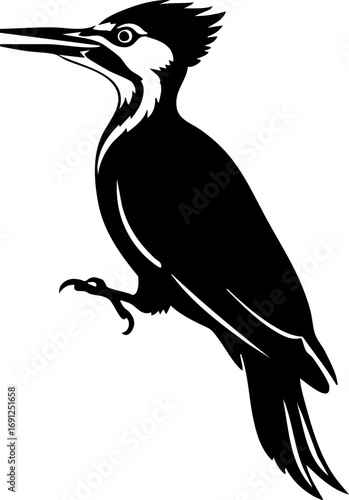 Elegant woodpecker silhouette perched, showcasing nature's beauty and wild spirit for dynamic designs.