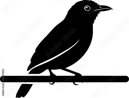 Charming silhouette of a songbird perched serenely on a branch, perfect for nature themes.