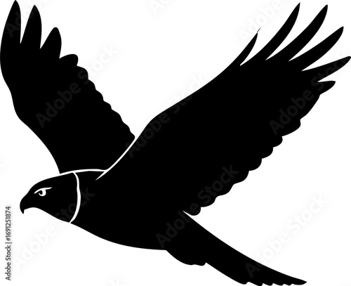 Majestic falcon soars powerfully in flight, embodying freedom and wild spirit