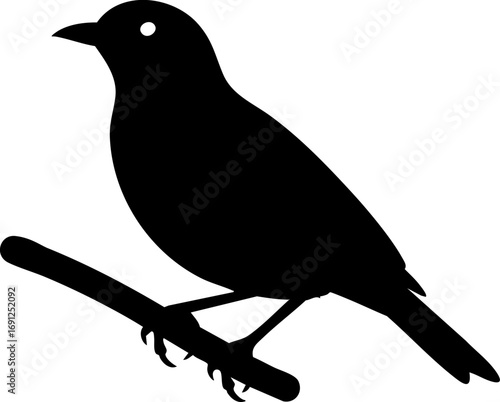 Elegant black silhouette of a small bird perched serenely on a delicate branch