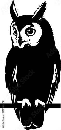 Alert owl perched on branch, wise watchful gaze, symbol of knowledge and nature