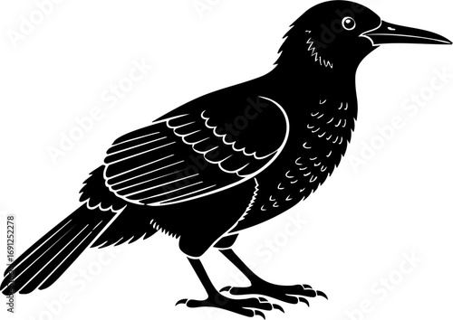 Elegant black bird silhouette with detailed feather texture, perfect for naturalistic designs